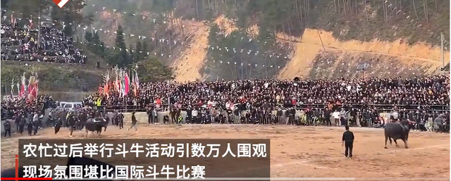 Scout重返赛场，险胜首场状态出色，西班牙队观众沸腾！